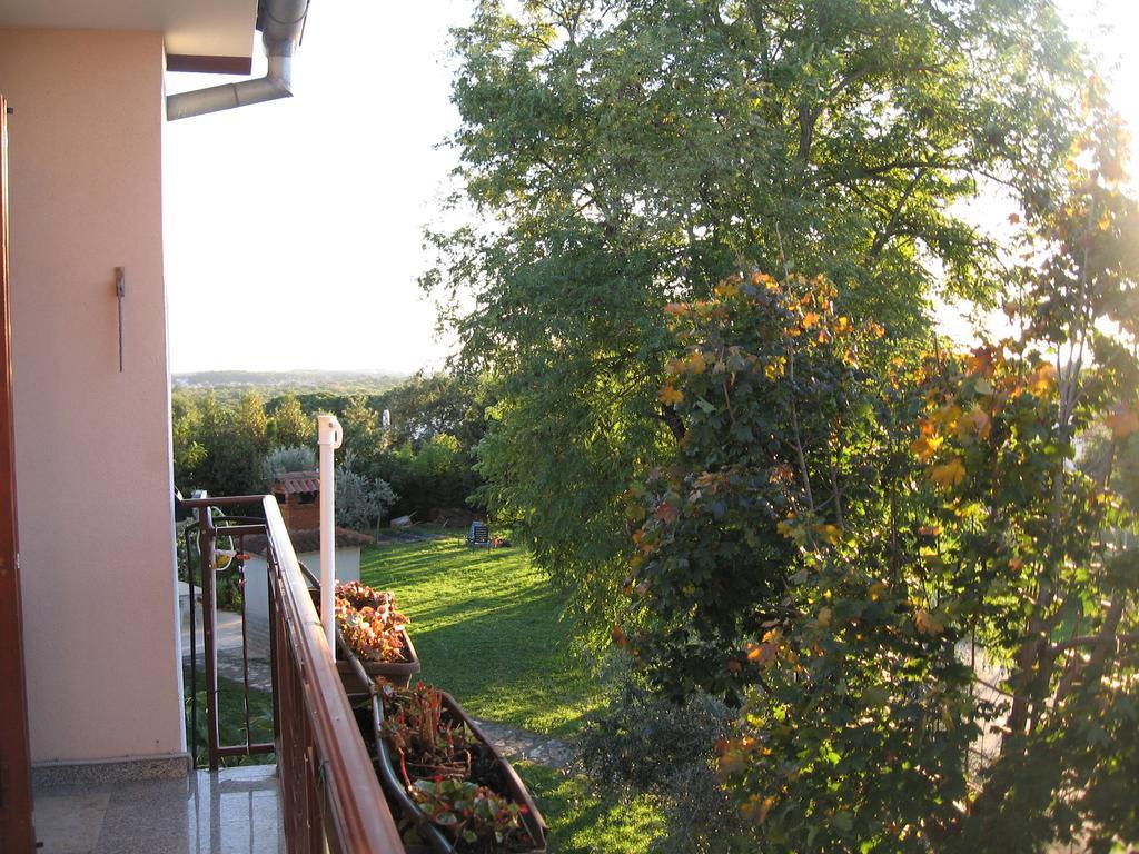 Apartments Adelita Poreč Kültér fotó