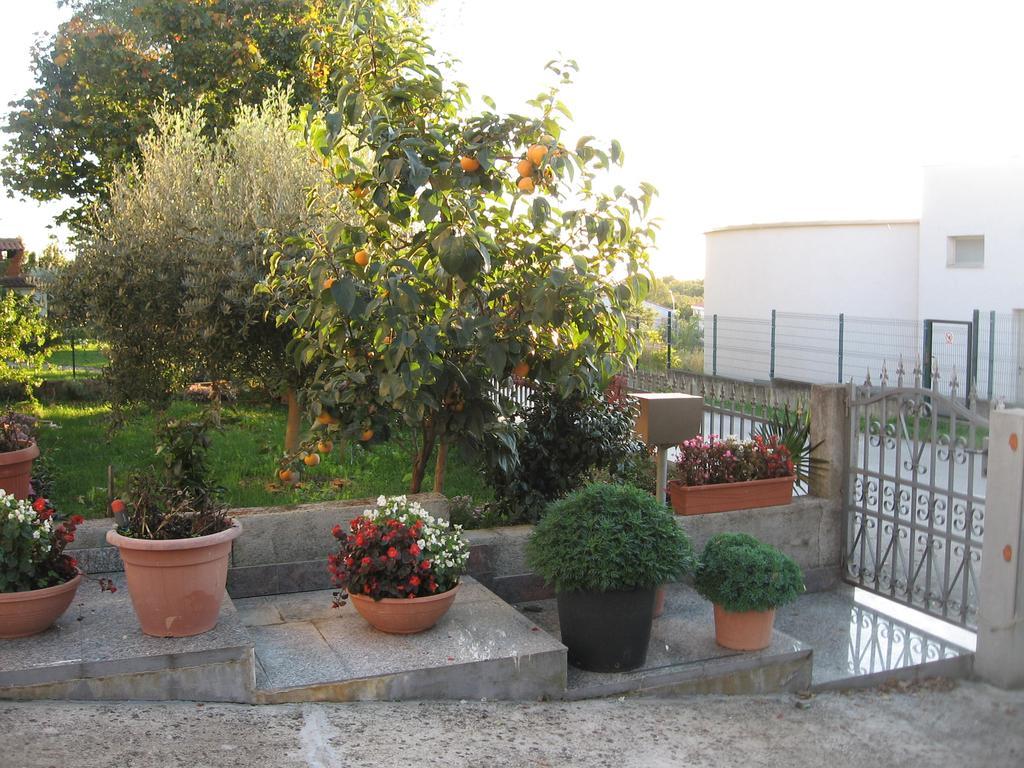 Apartments Adelita Poreč Kültér fotó